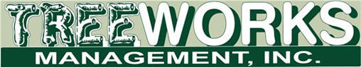 Landscaper, Arborist, Lawn Maintenance | Miami-Dade, Broward & Palm Beach Counties | Treeworks Management, Inc.